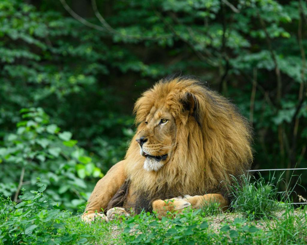 Tension and God’s&nbsp;Presence